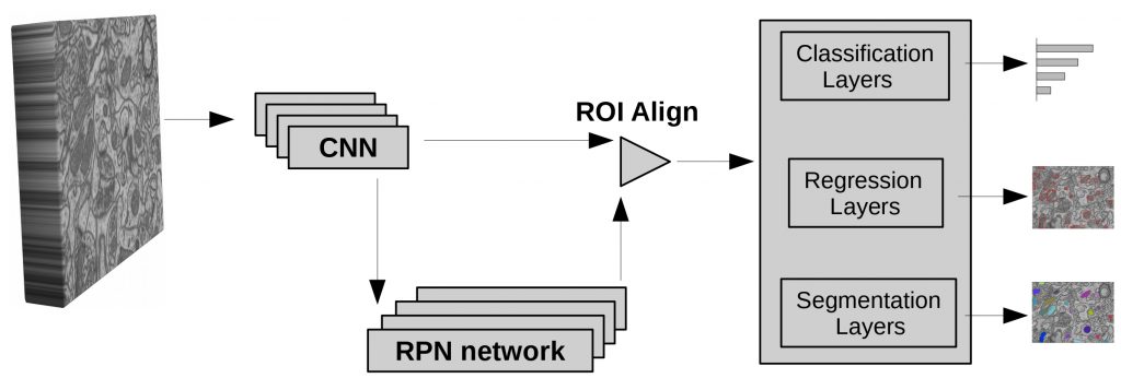 Mask R-CNN Model