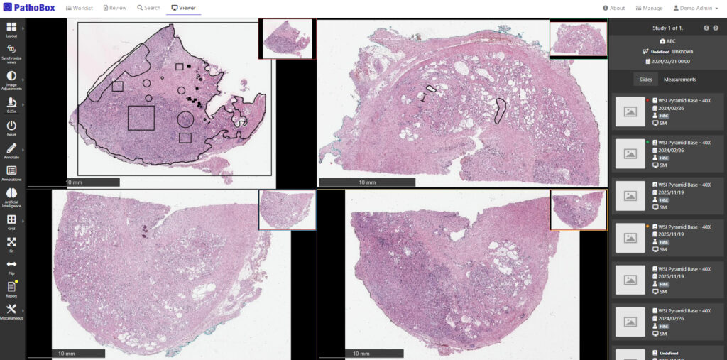 PathoBox DICOMweb viewer showing whole slide imaging navigation, metadata integration, and pixel data retrieval in digital pathology